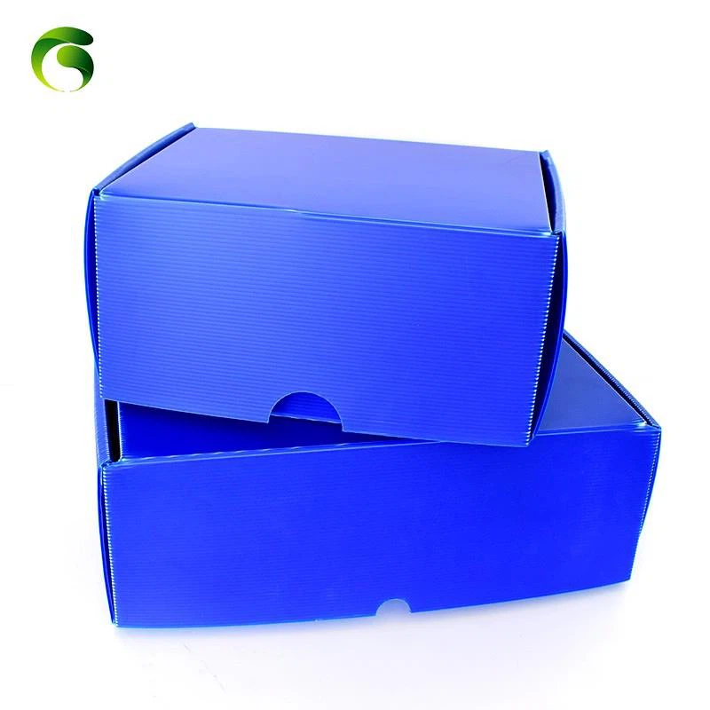 Plastic corrugated storage box